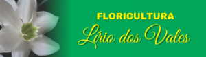 Lirio dos Vales banner