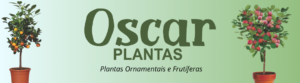 Oscar Plantas banner
