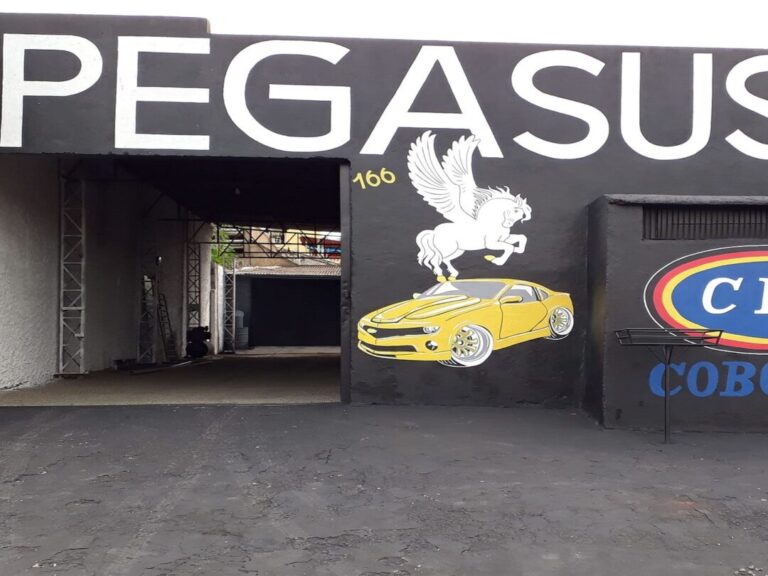 pegasus (1)