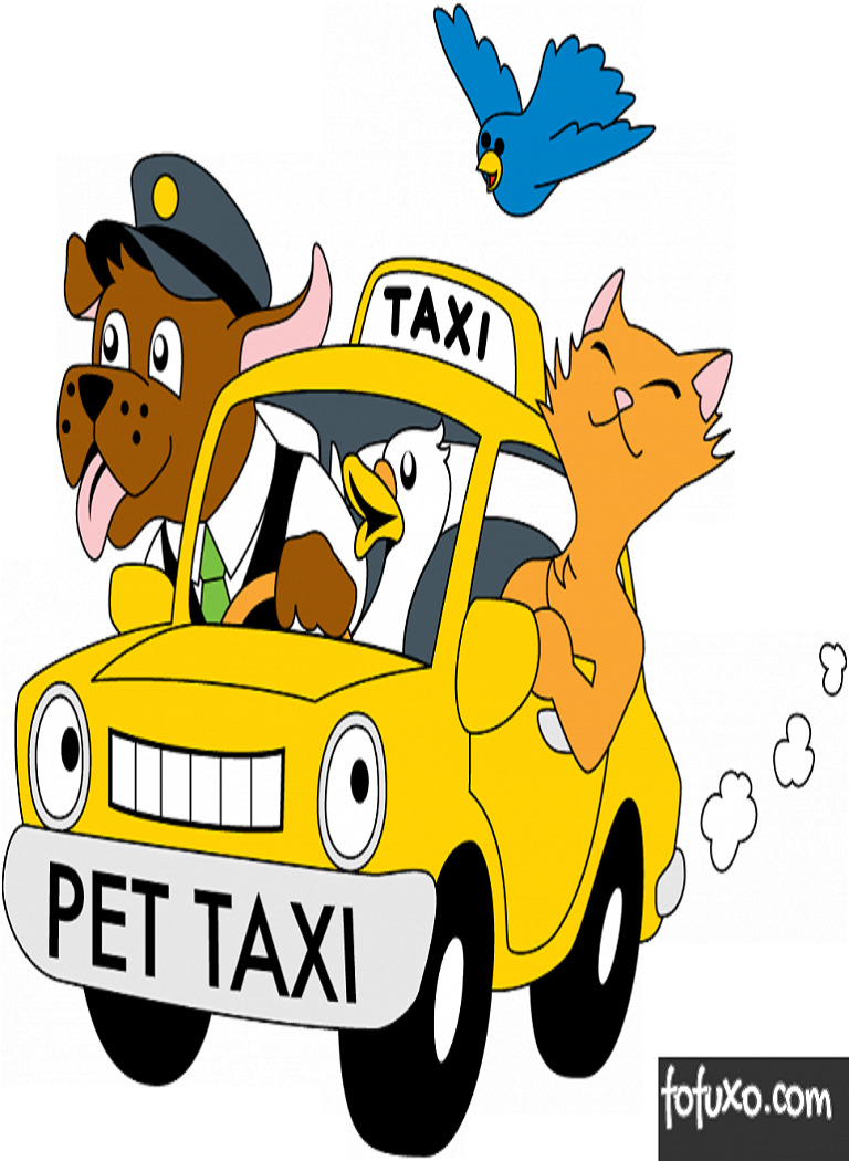 taxidogandrade (1)