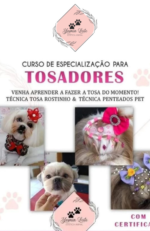 Yasmim Leite (6)