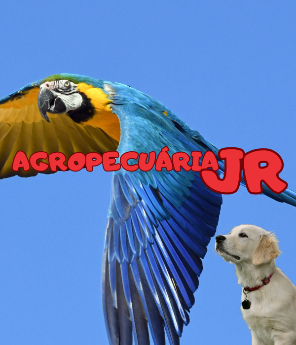 AGROPECUÁRIA JR