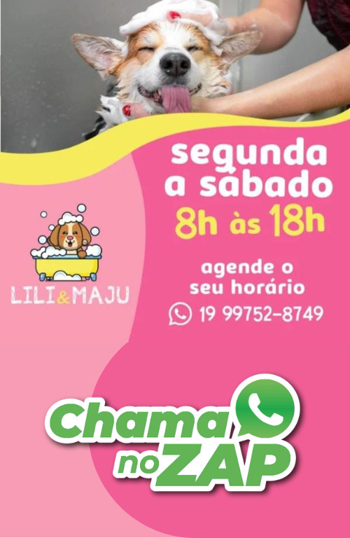 LILI E MAJU 4