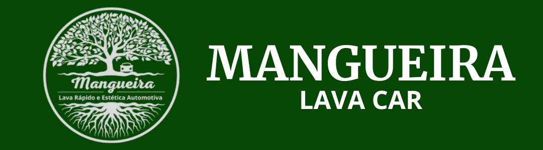 Mangueira lava car banner