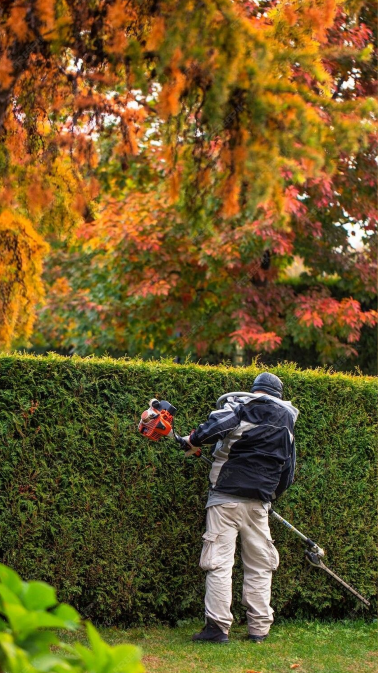 master seguranca (5)